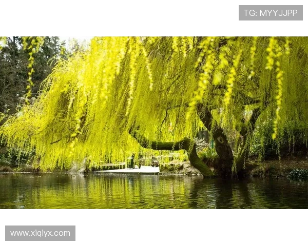 鍙屽闂€€锛佷腑鍥藉コ绡コ鎺掑弻澶哄啝